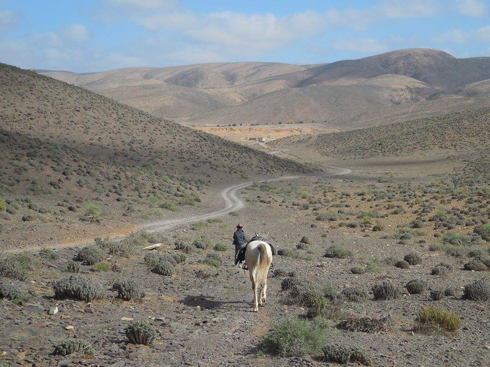 Sea, Mountain & Desert - horseXperiences™ GO EQUESTRIAN
