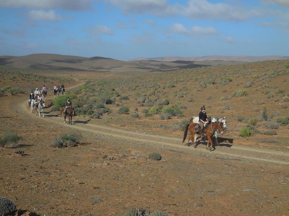 Sea, Mountain & Desert - horseXperiences™ GO EQUESTRIAN