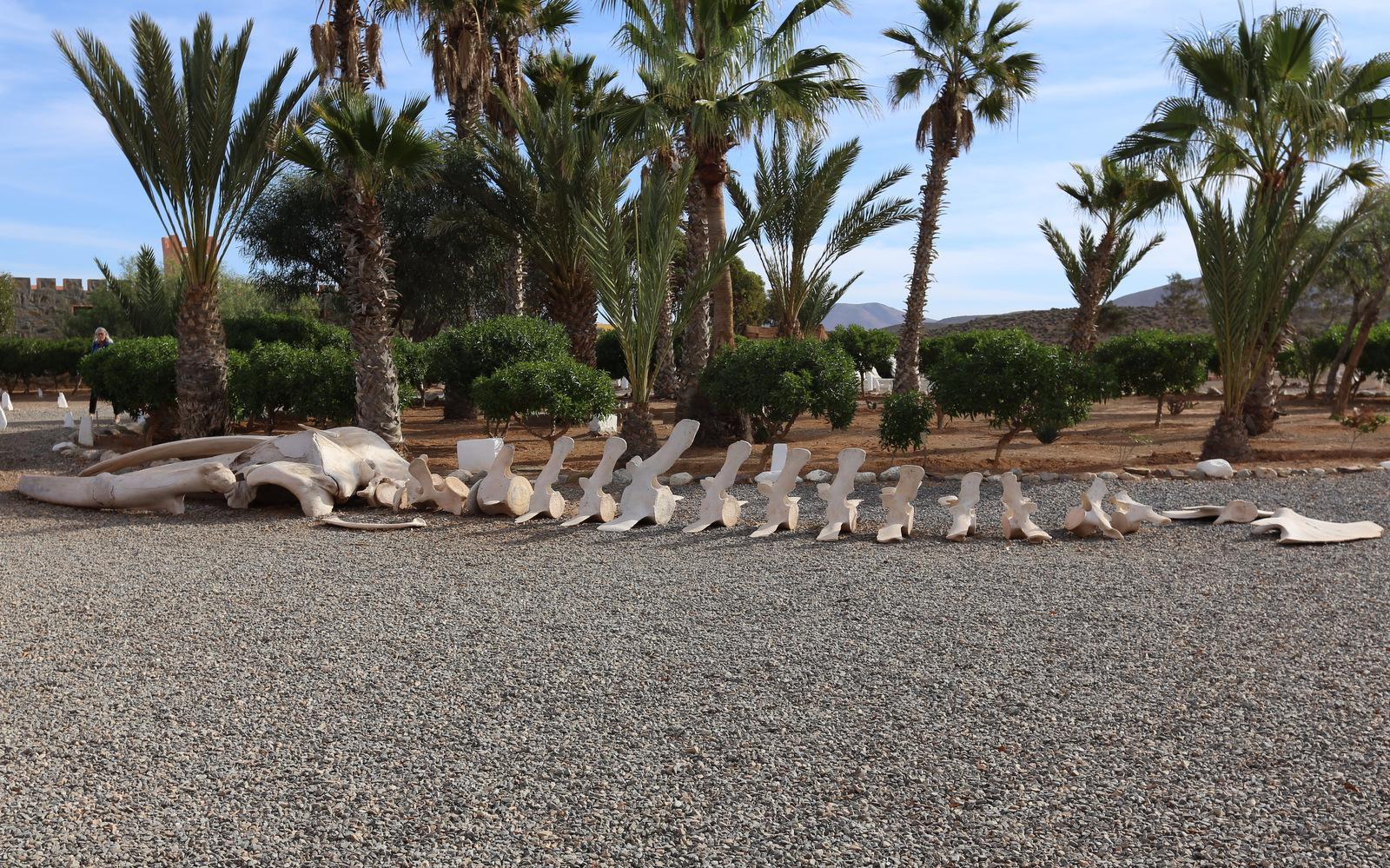 Sea, Mountain & Desert - horseXperiences™ GO EQUESTRIAN