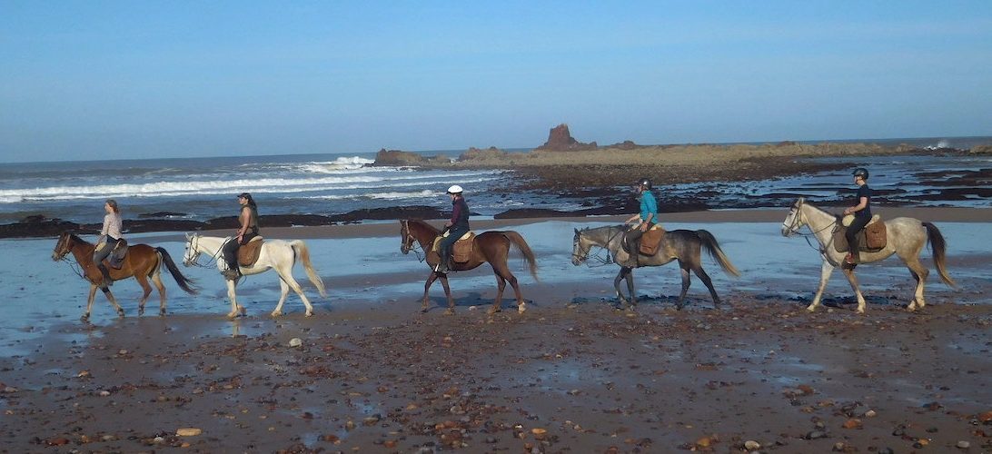 Sea, Mountain & Desert - horseXperiences™ GO EQUESTRIAN