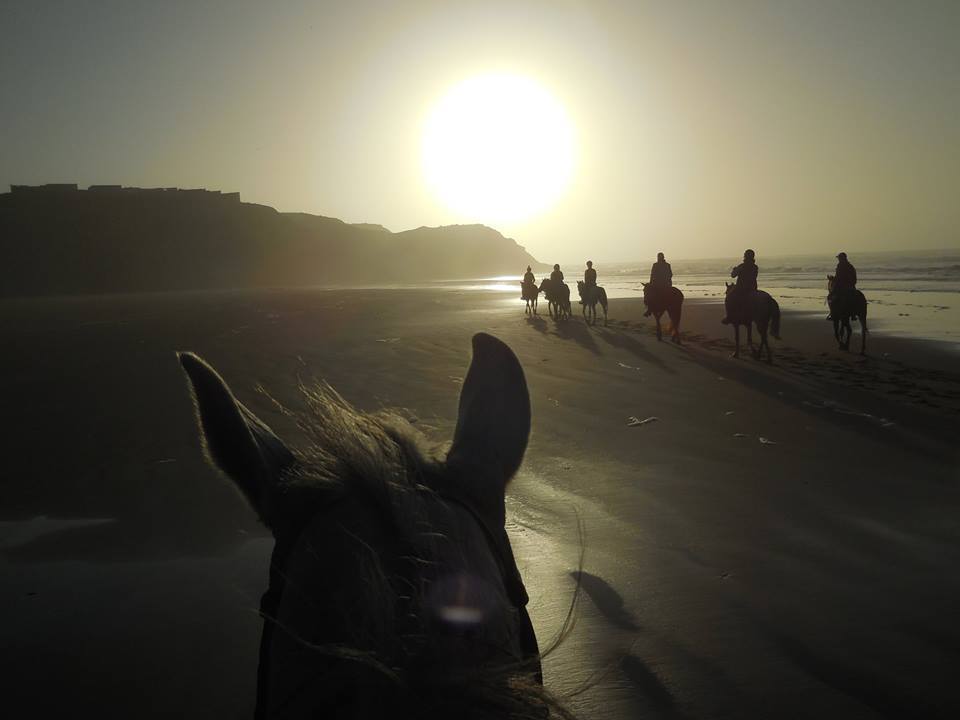 Sea, Mountain & Desert - horseXperiences™ GO EQUESTRIAN