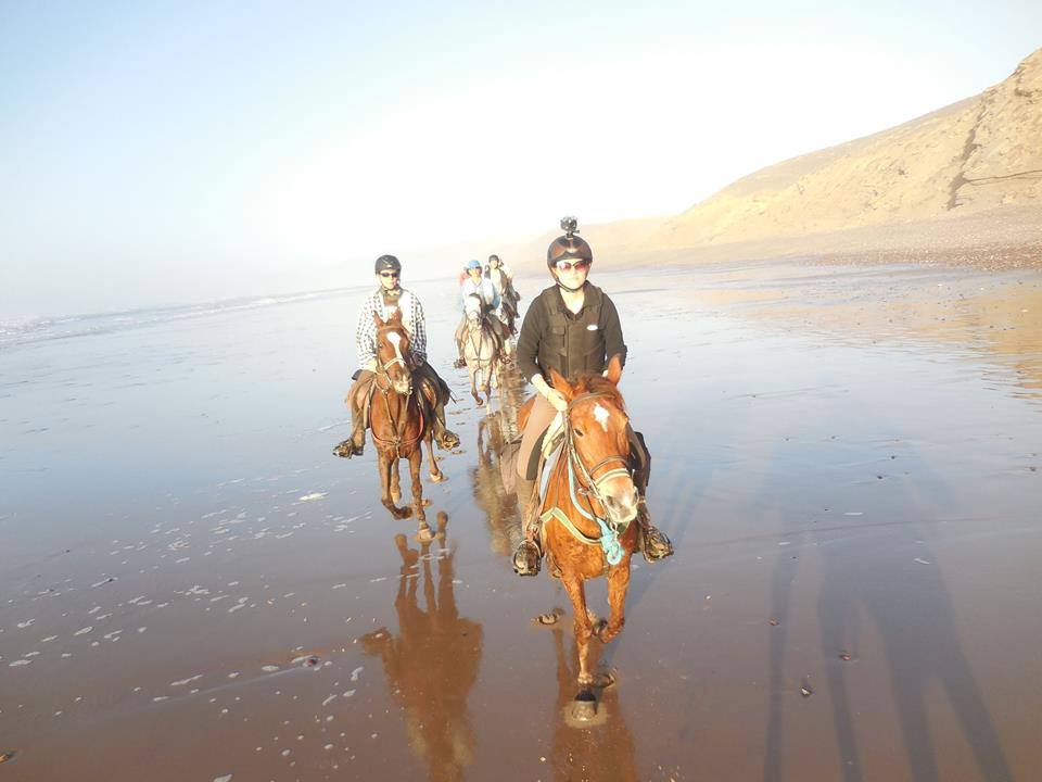 Sea, Mountain & Desert - horseXperiences™ GO EQUESTRIAN