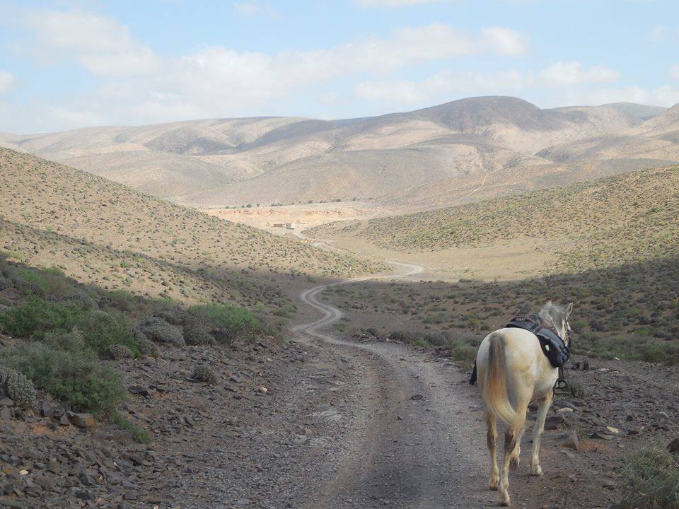 Sea, Mountain & Desert - horseXperiences™ GO EQUESTRIAN