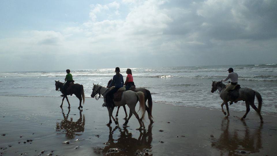 Sea, Mountain & Desert - horseXperiences™ GO EQUESTRIAN