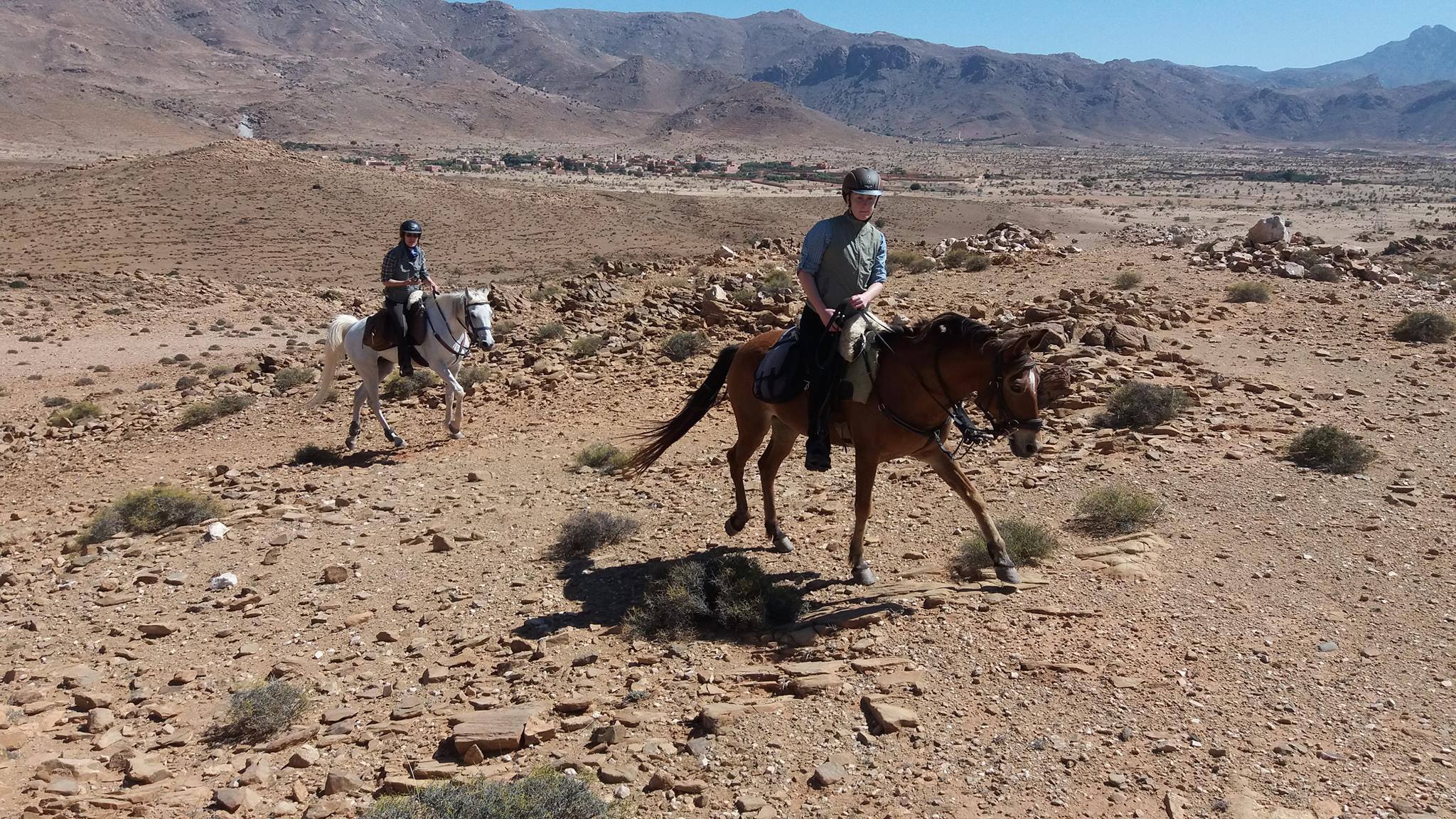 The Green Valley - horseXperiences™ GO EQUESTRIAN