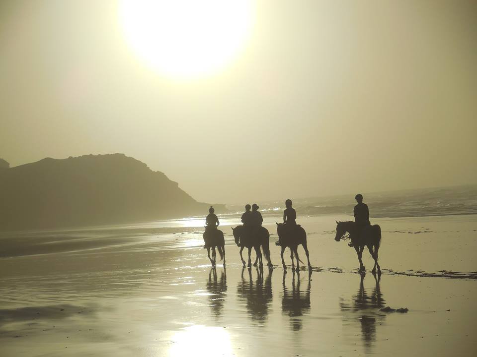 Sea, Mountain & Desert - horseXperiences™ GO EQUESTRIAN