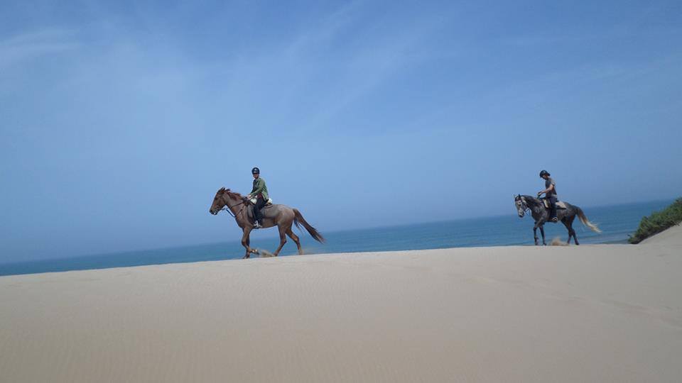 Sea, Mountain & Desert - horseXperiences™ GO EQUESTRIAN