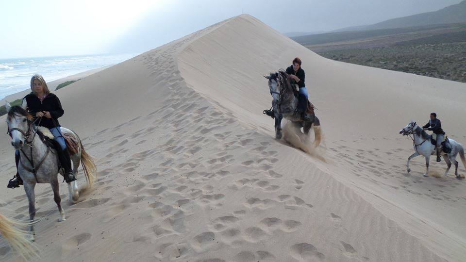 Sea, Mountain & Desert - horseXperiences™ GO EQUESTRIAN