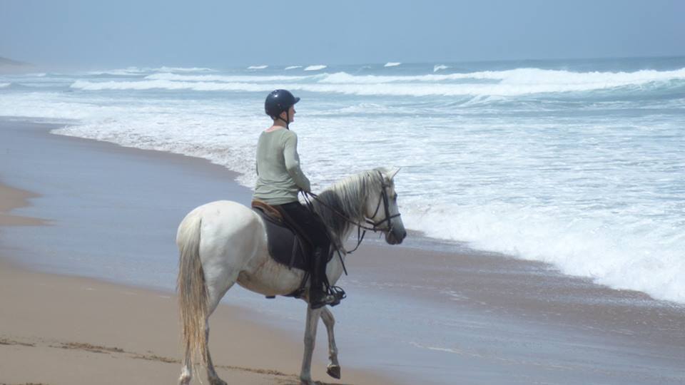 Sea, Mountain & Desert - horseXperiences™ GO EQUESTRIAN