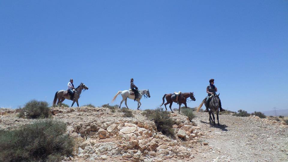 Sea, Mountain & Desert - horseXperiences™ GO EQUESTRIAN
