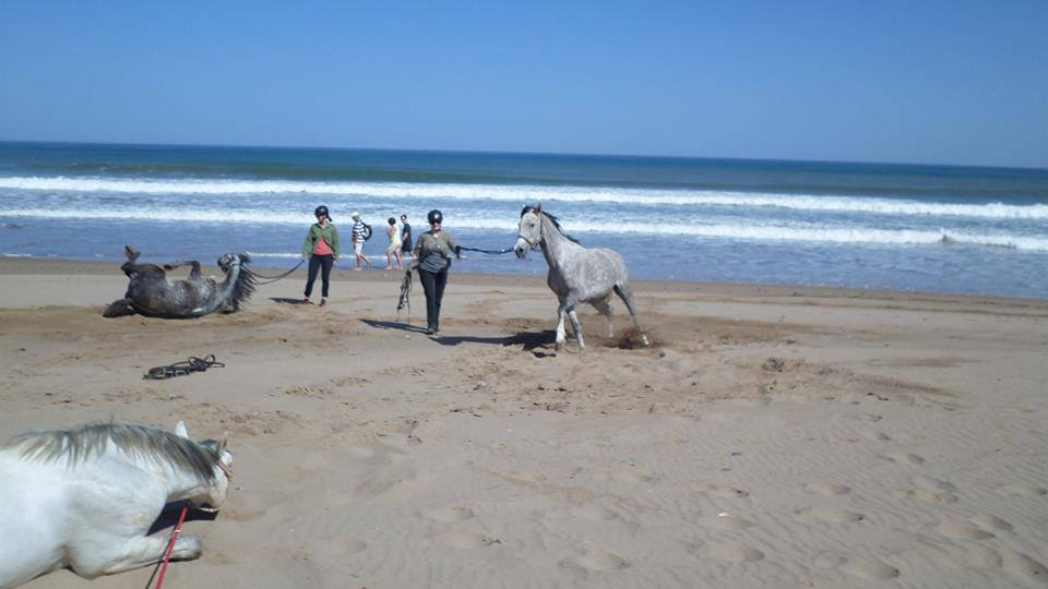 Sea, Mountain & Desert - horseXperiences™ GO EQUESTRIAN