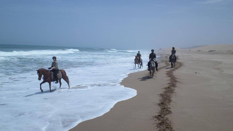 Sea, Mountain & Desert - horseXperiences™ GO EQUESTRIAN