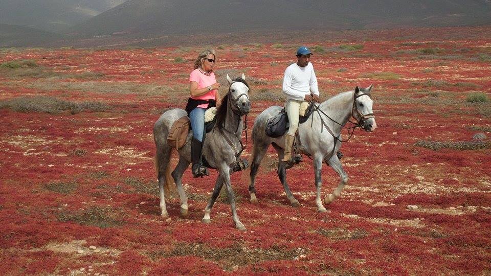 Sea, Mountain & Desert - horseXperiences™ GO EQUESTRIAN