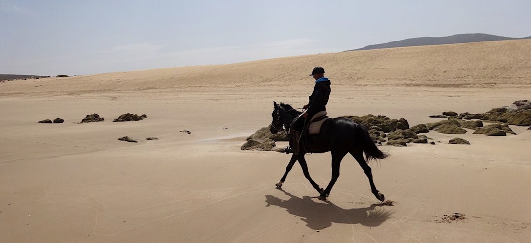 Sea, Mountain & Desert - horseXperiences™ GO EQUESTRIAN