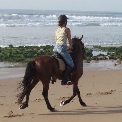 Sea, Mountain & Desert - horseXperiences™ GO EQUESTRIAN