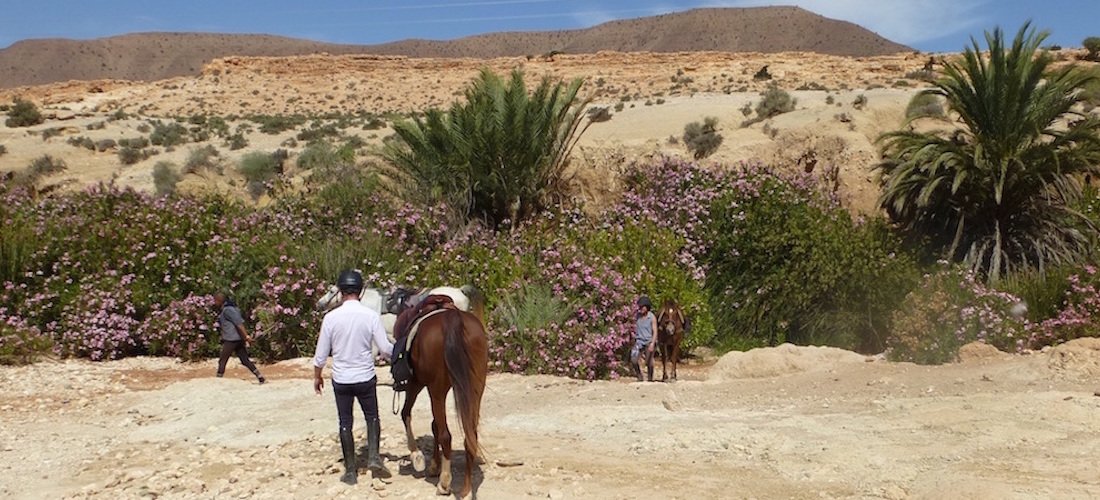 Sea, Mountain & Desert - horseXperiences™ GO EQUESTRIAN