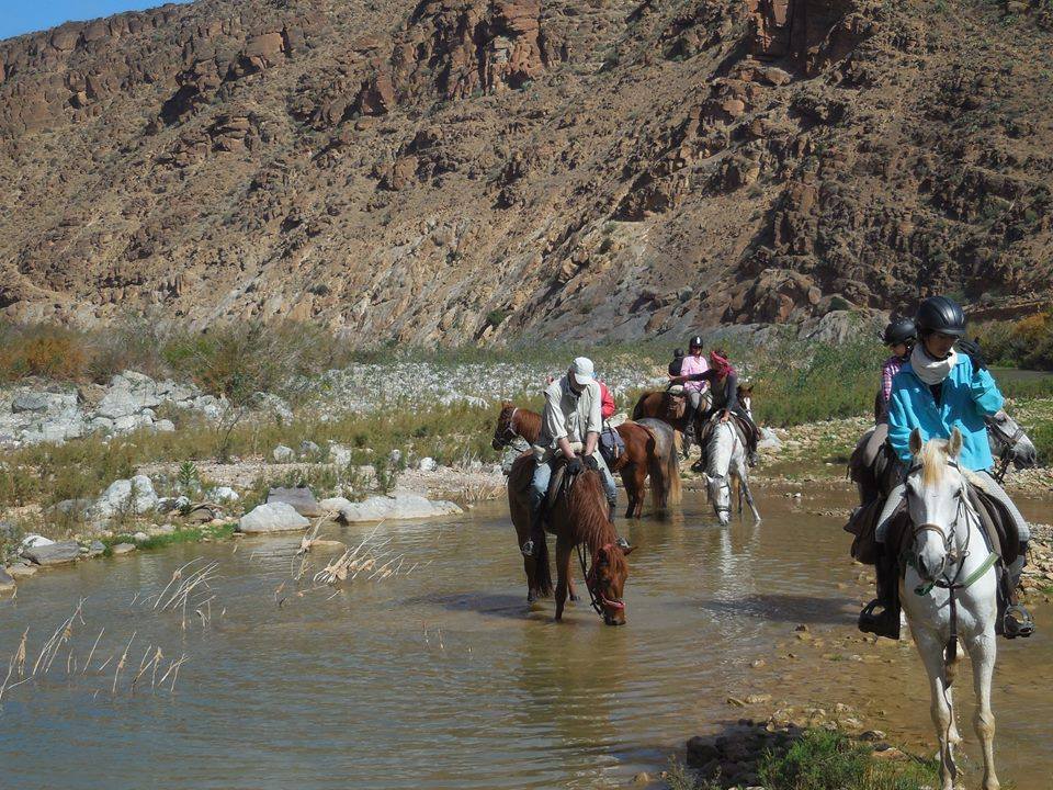 Sea, Mountain & Desert - horseXperiences™ GO EQUESTRIAN