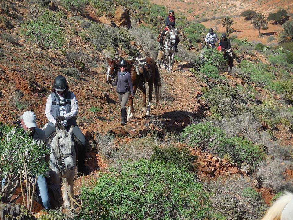 Sea, Mountain & Desert - horseXperiences™ GO EQUESTRIAN