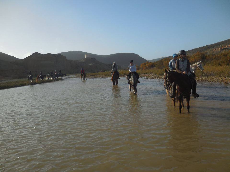 Sea, Mountain & Desert - horseXperiences™ GO EQUESTRIAN