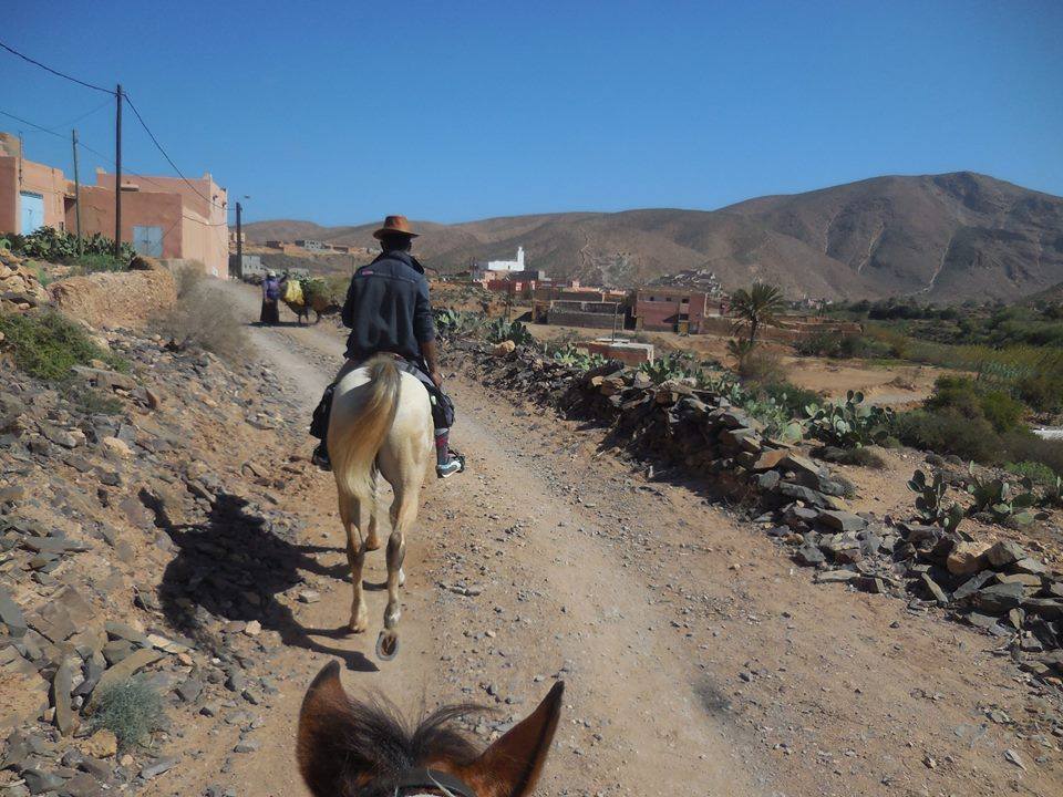 Sea, Mountain & Desert - horseXperiences™ GO EQUESTRIAN