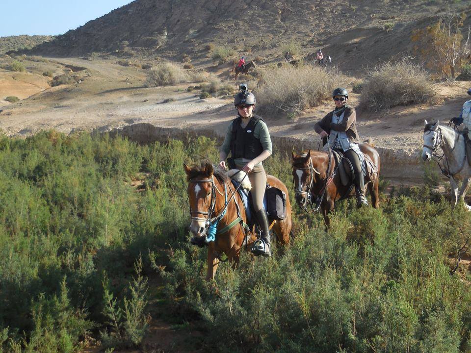 Sea, Mountain & Desert - horseXperiences™ GO EQUESTRIAN