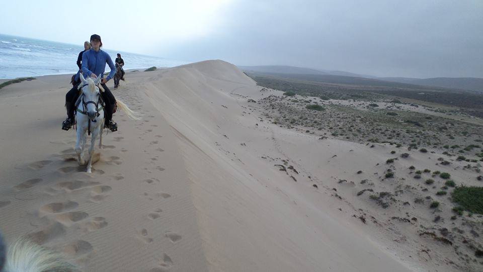 Sea, Mountain & Desert - horseXperiences™ GO EQUESTRIAN