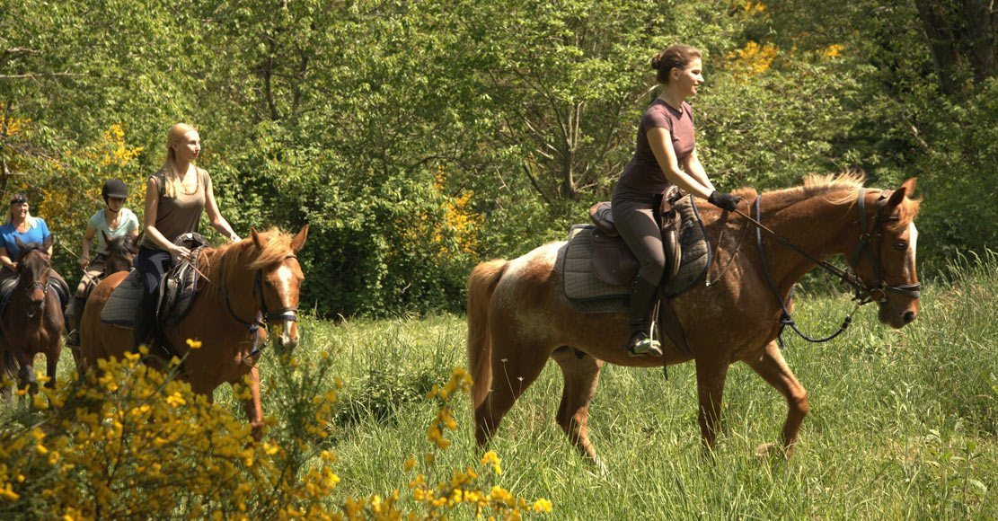 Italian Haven - horseXperiences™ GO EQUESTRIAN