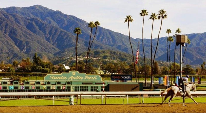 Santa Anita Cancels Racing Indefinitely Following Tuesday Fatality