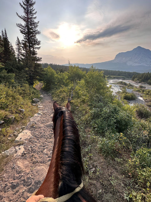 Rider's view from horseback on a mountain trail in Glacier National Park