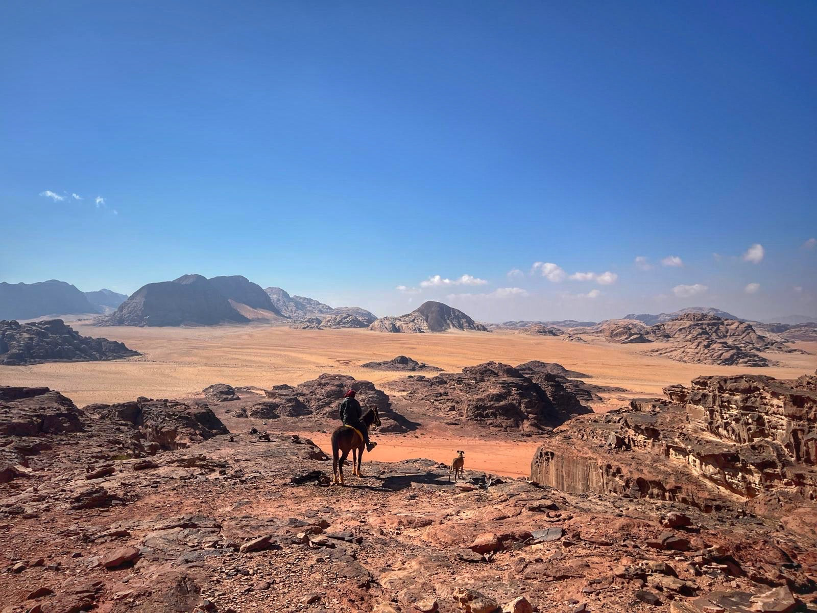 Petra, Rose Desert & Arabian Sands