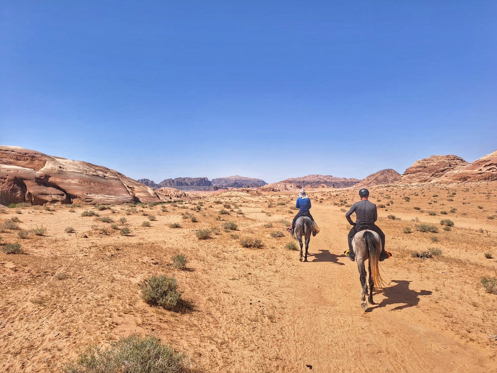Petra, Rose Desert & Arabian Sands