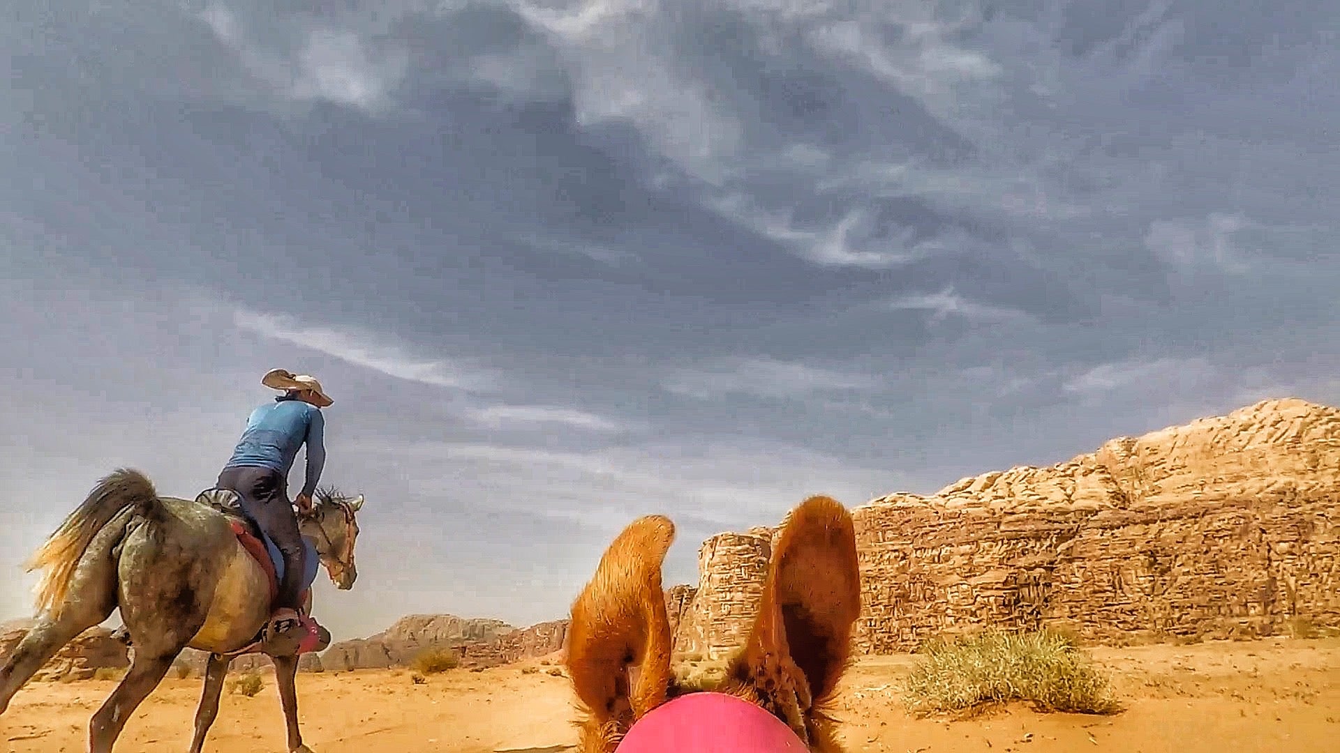 Petra, Rose Desert & Arabian Sands