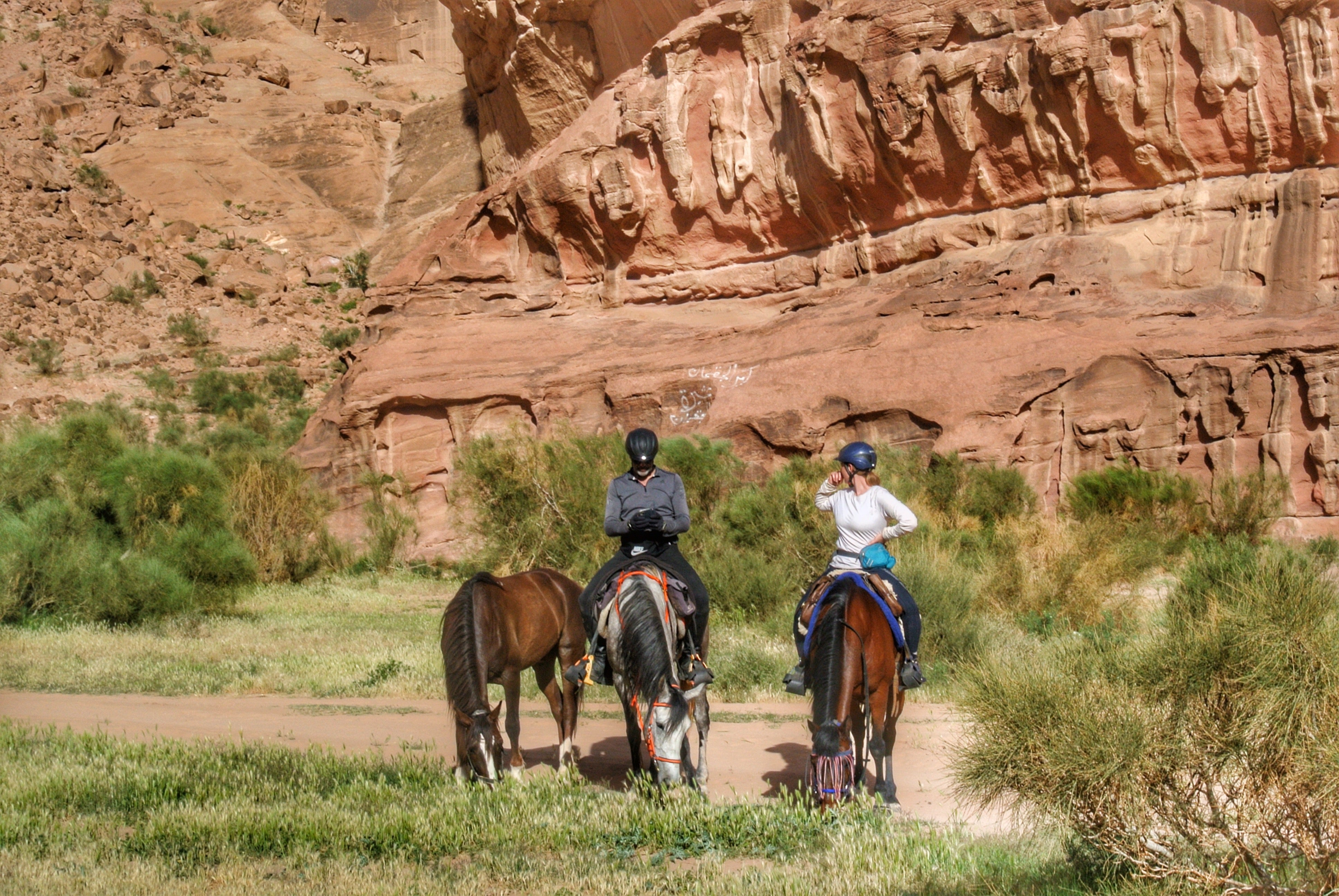 Petra, Rose Desert & Arabian Sands