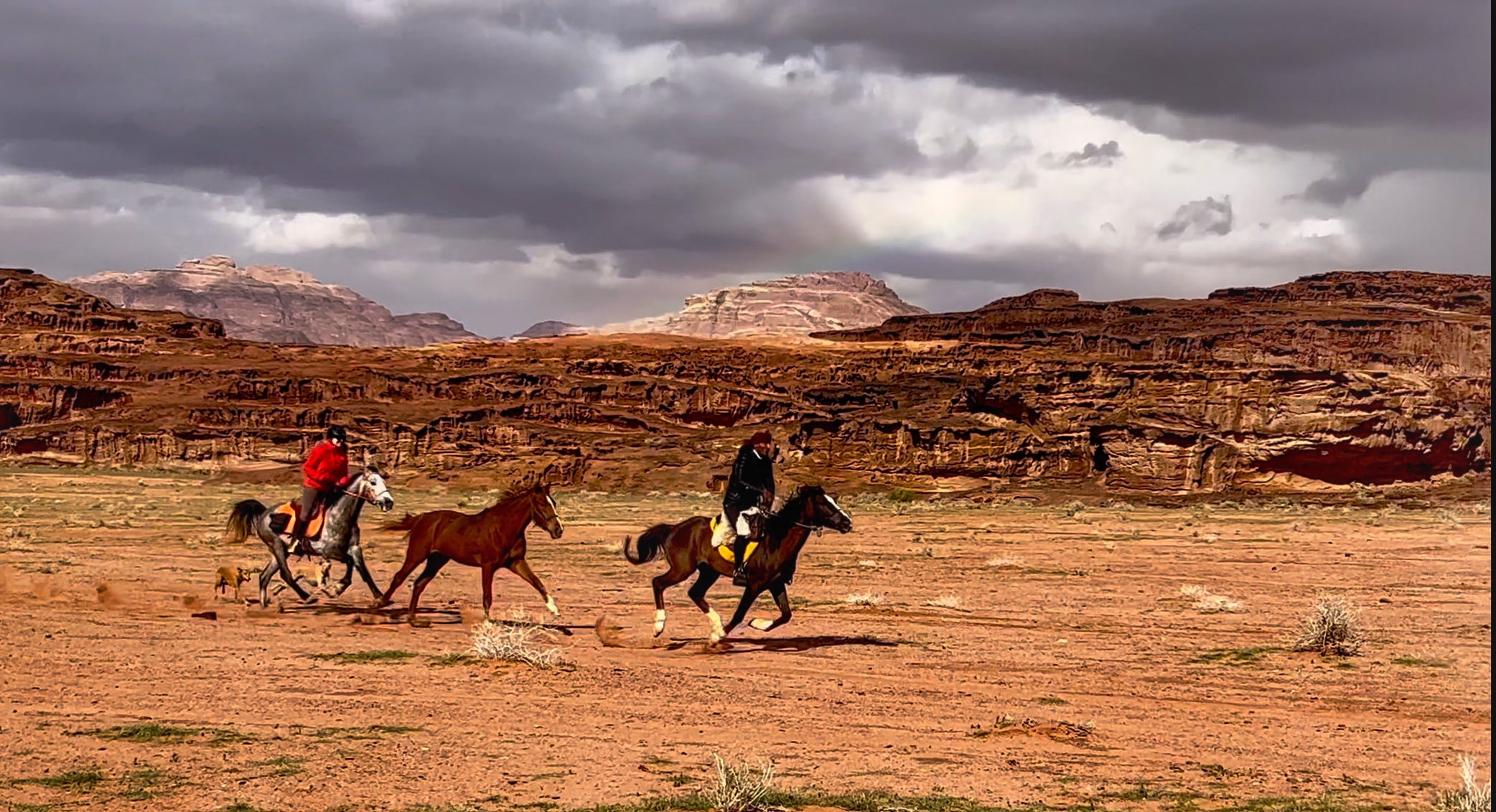 Petra, Rose Desert & Arabian Sands