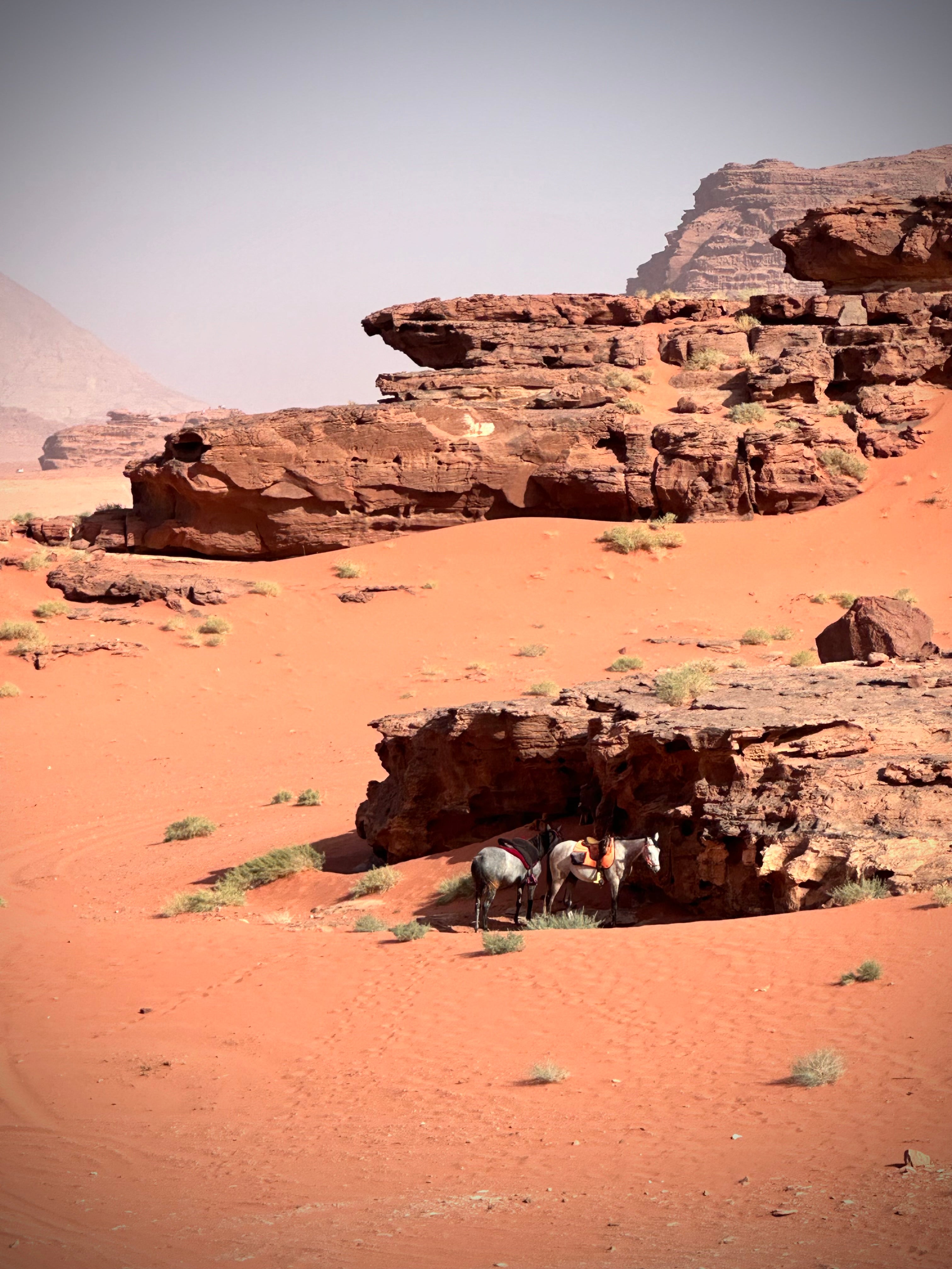 Petra, Rose Desert & Arabian Sands