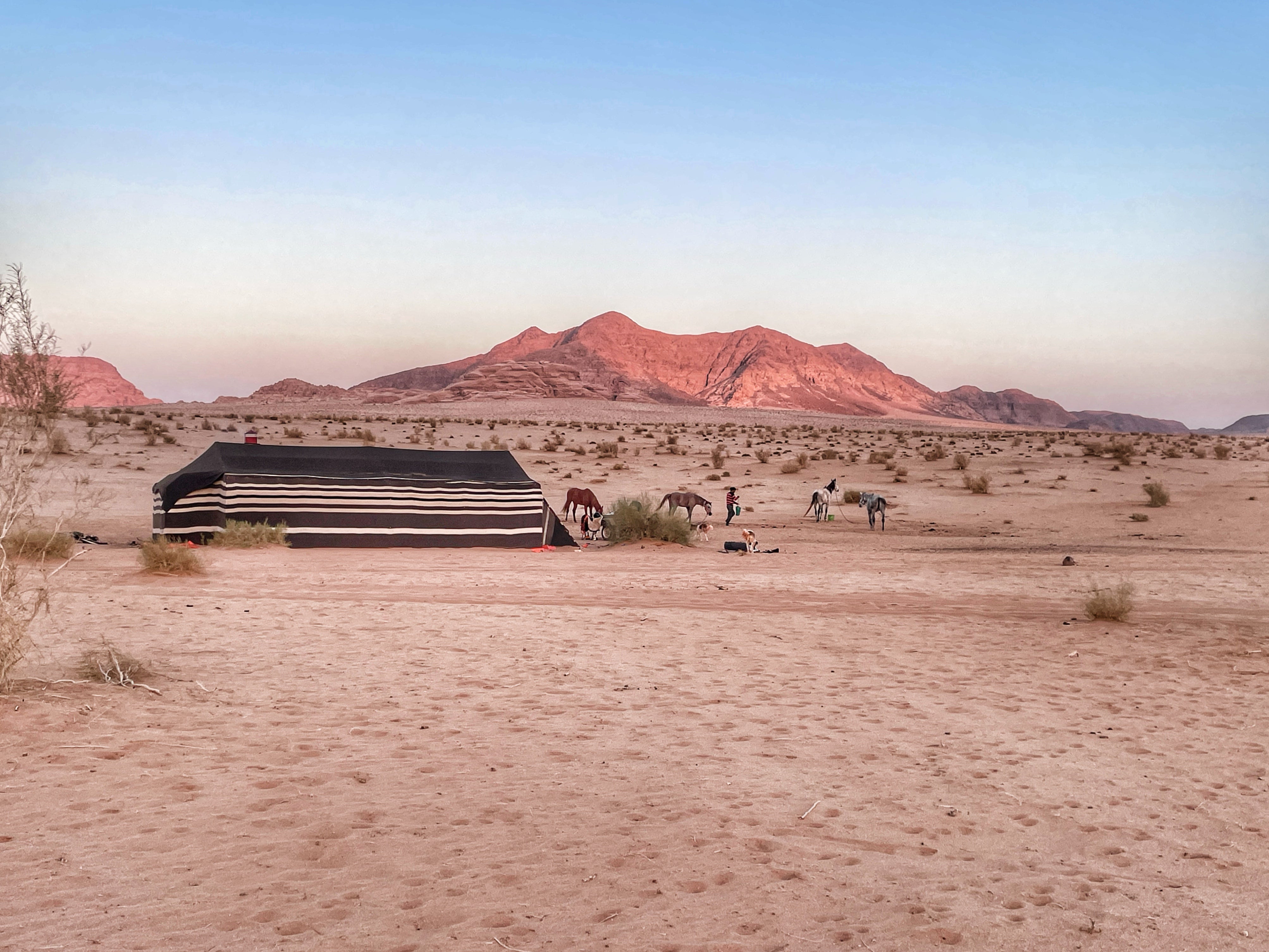 Petra, Rose Desert & Arabian Sands