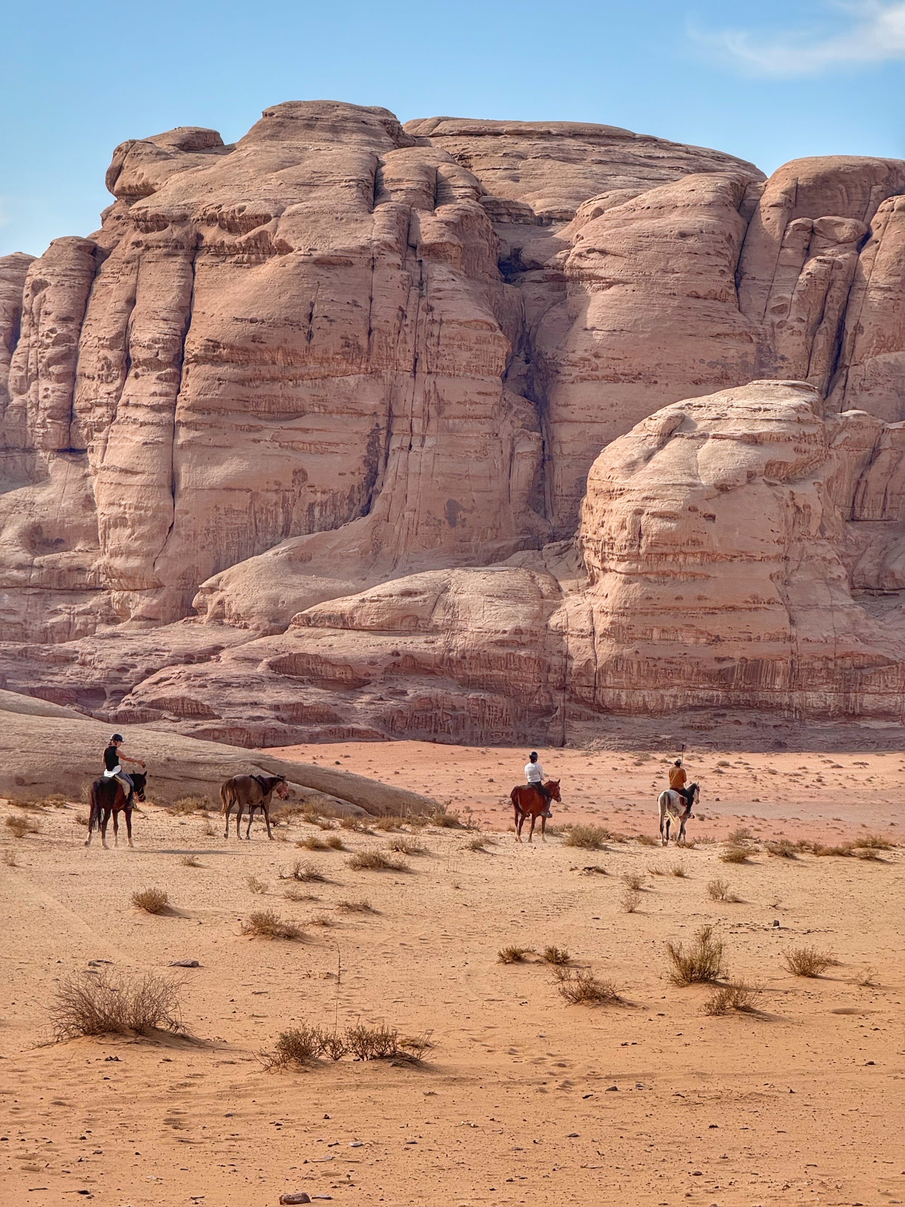 Petra, Rose Desert & Arabian Sands