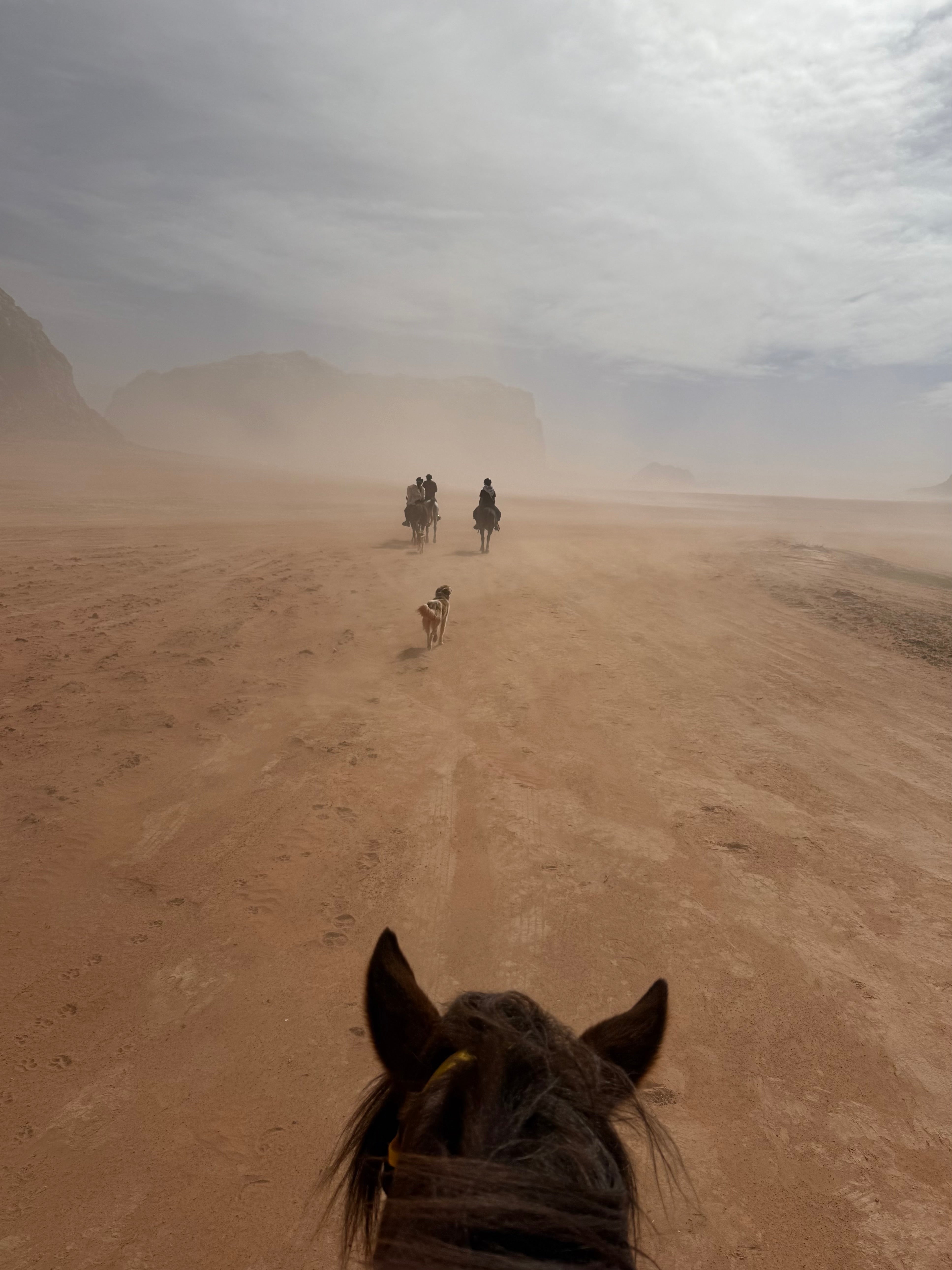 Petra, Rose Desert & Arabian Sands