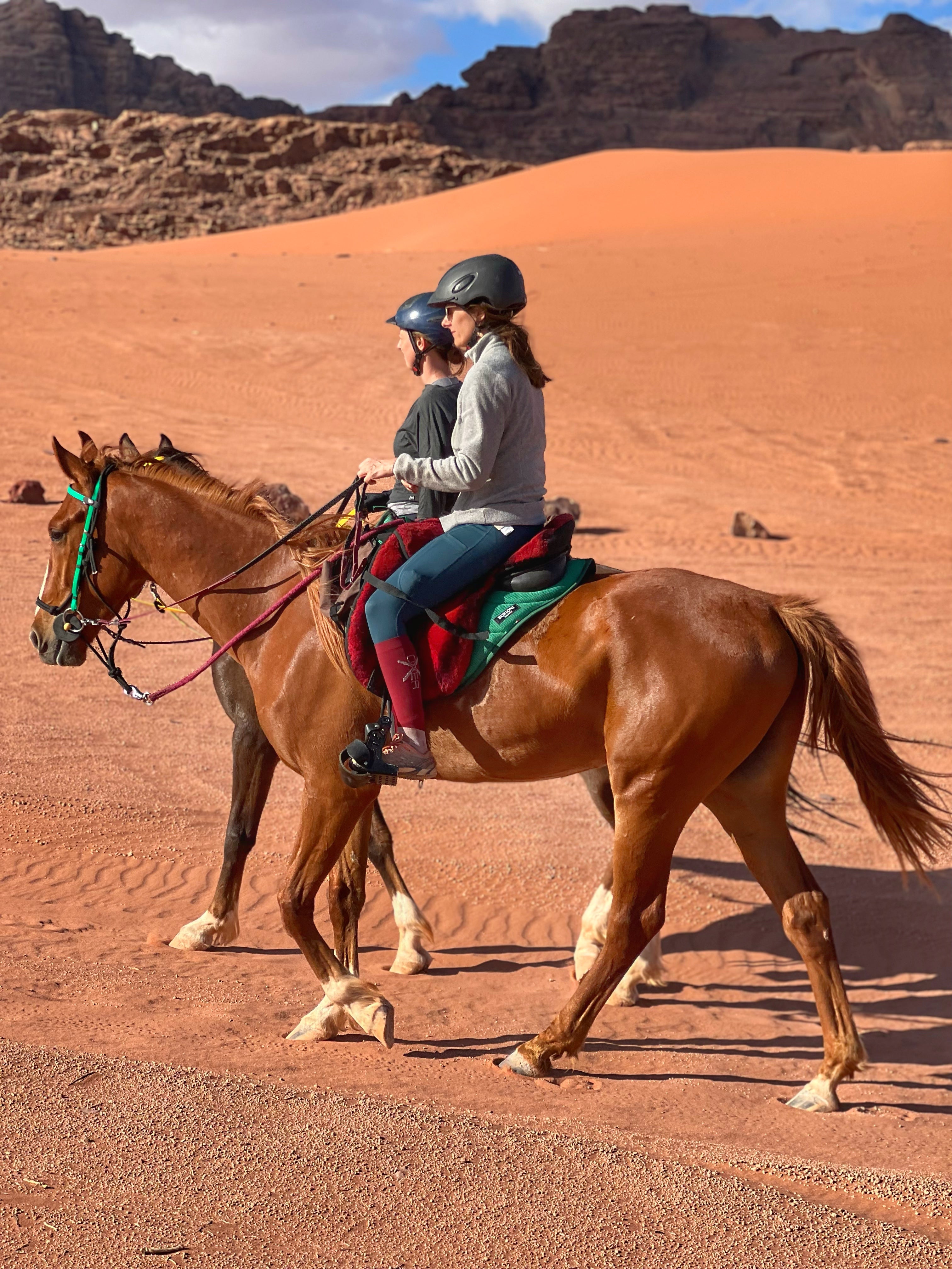 Petra, Rose Desert & Arabian Sands