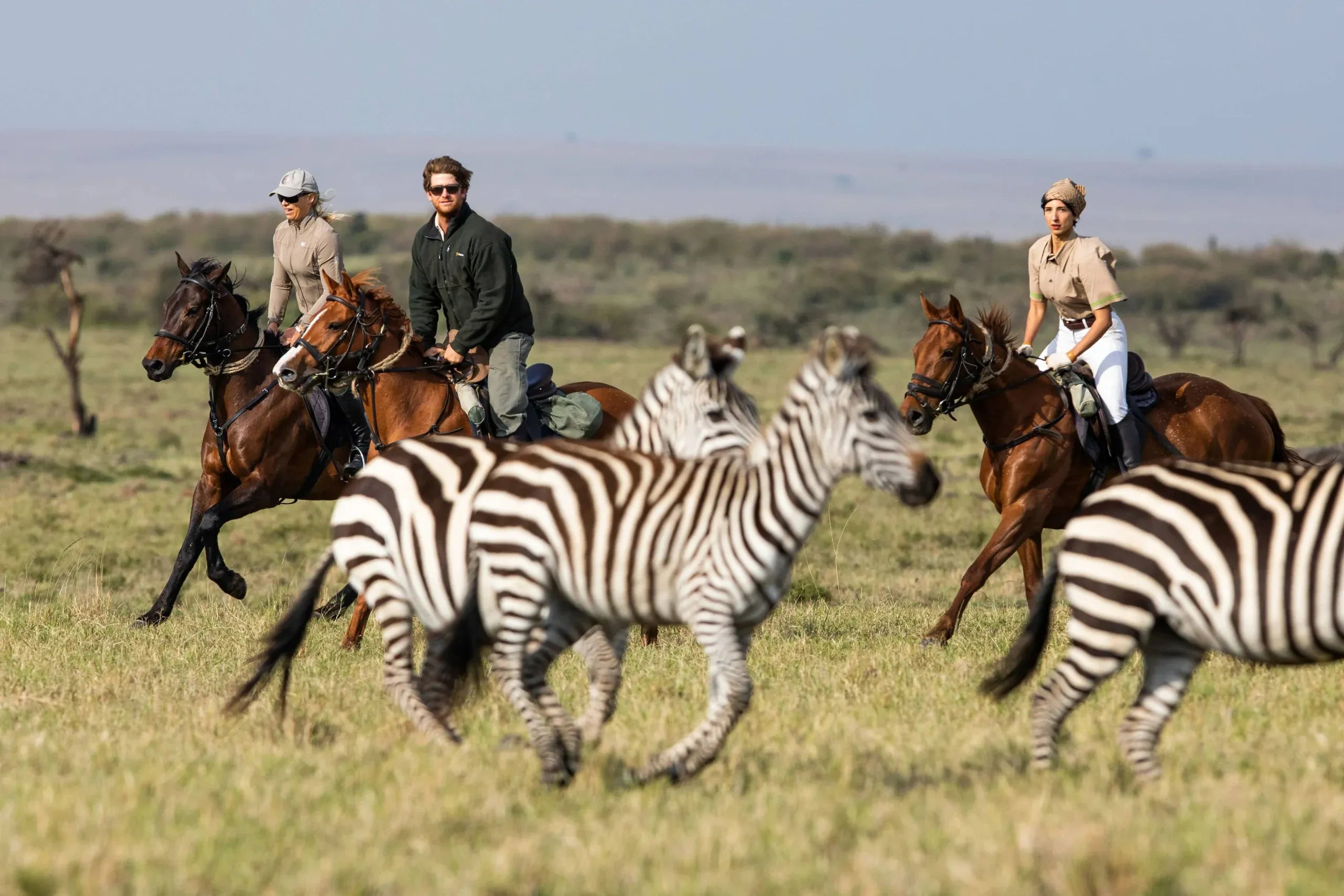 Africa's Big 5 Safari - Image 4