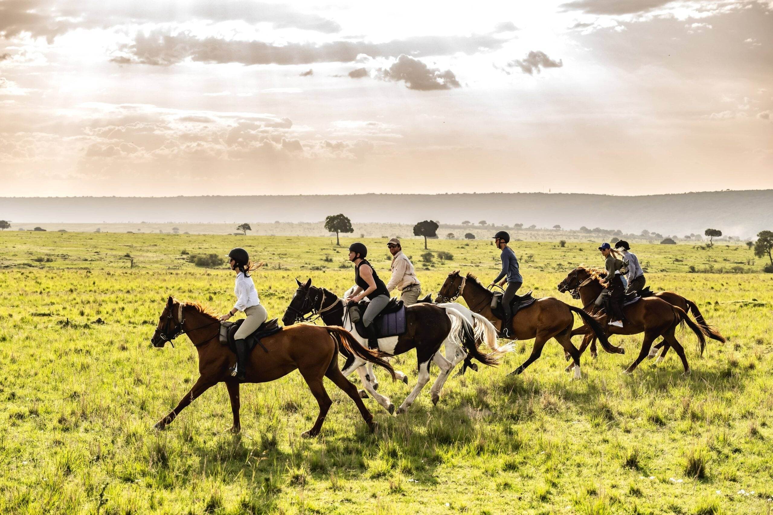 Africa's Big 5 Safari - Image 5