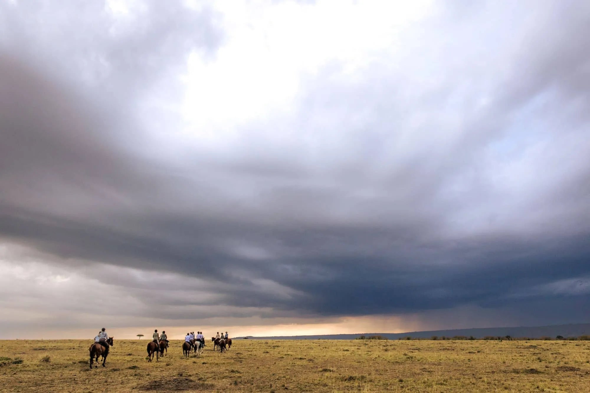 Africa's Big 5 Safari - Image 6