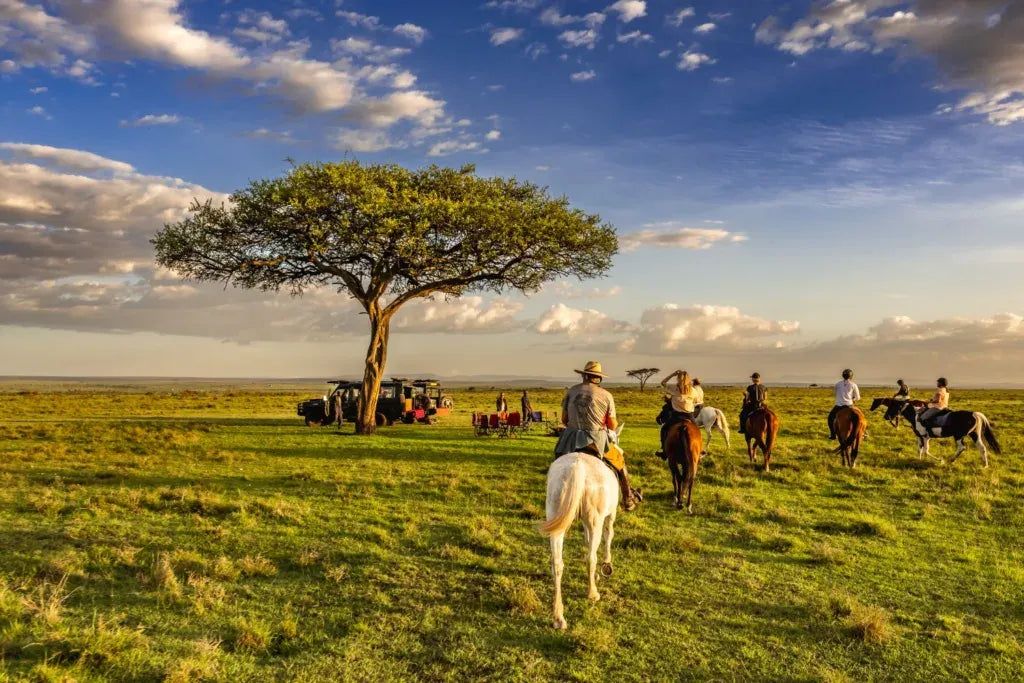 Africa's Big 5 Safari - Image 8