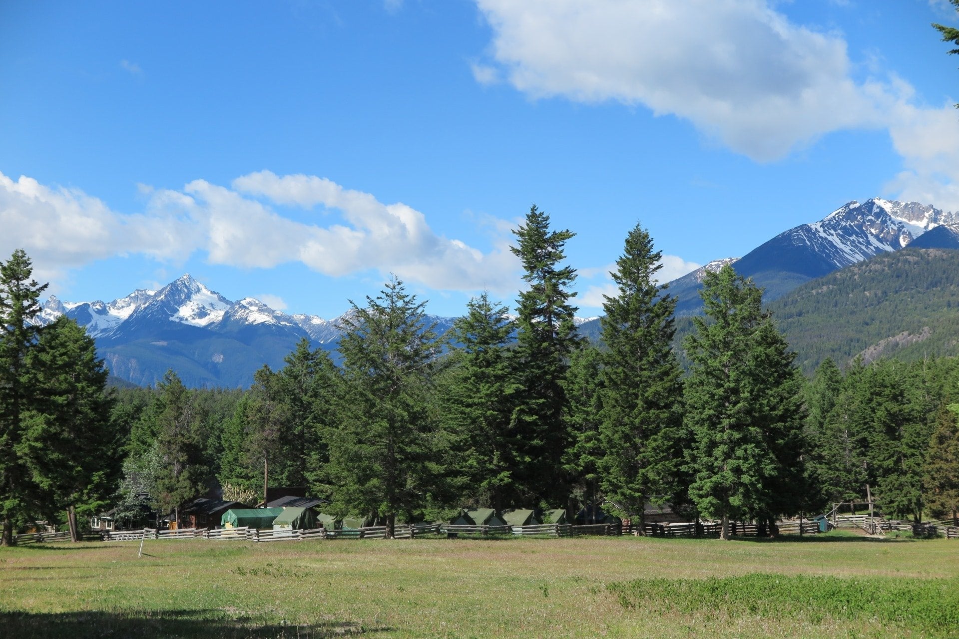 Grizzly Bear Research - horseXperiences™ GO EQUESTRIAN