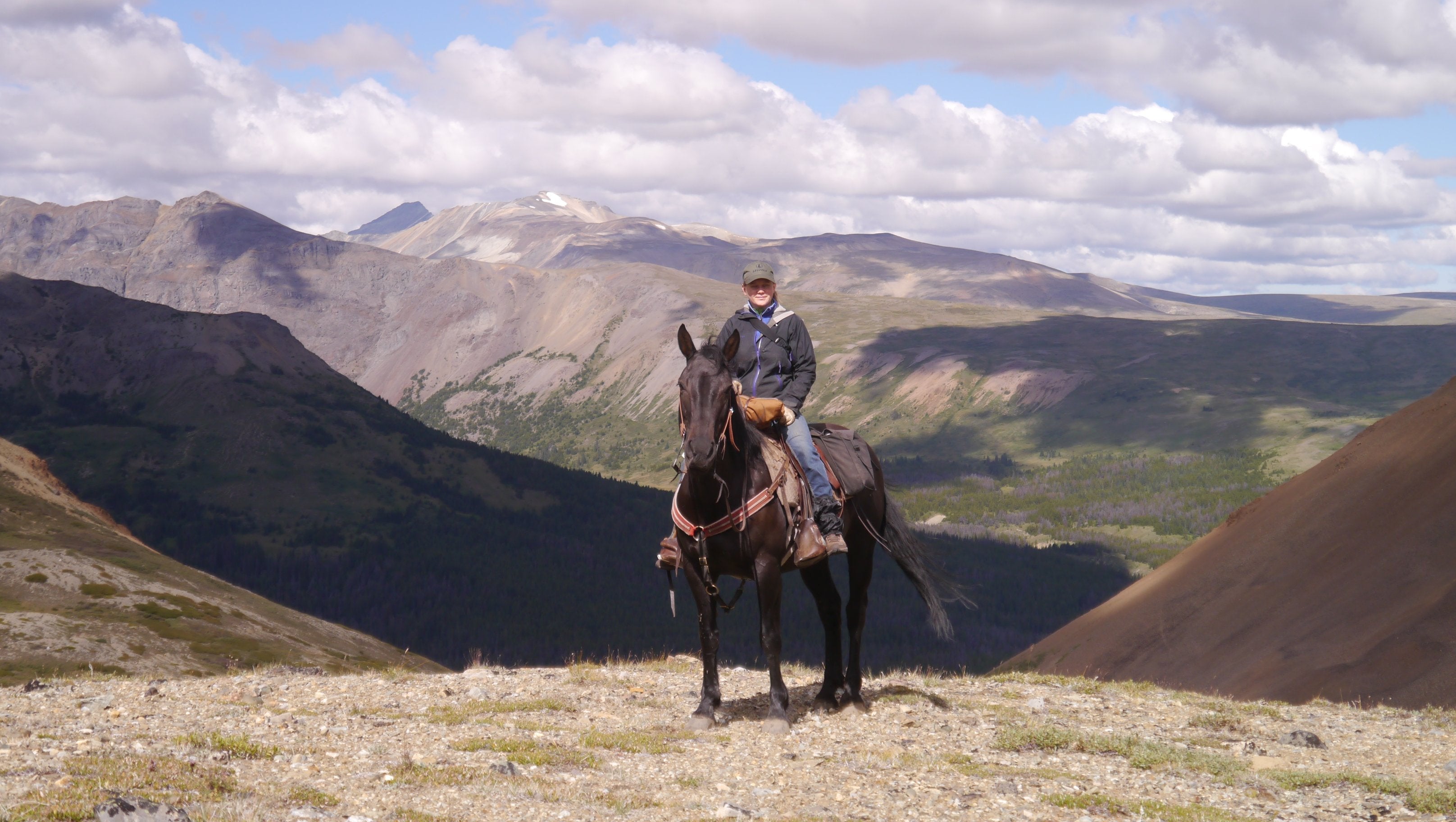 Grizzly Bear Research - horseXperiences™ GO EQUESTRIAN