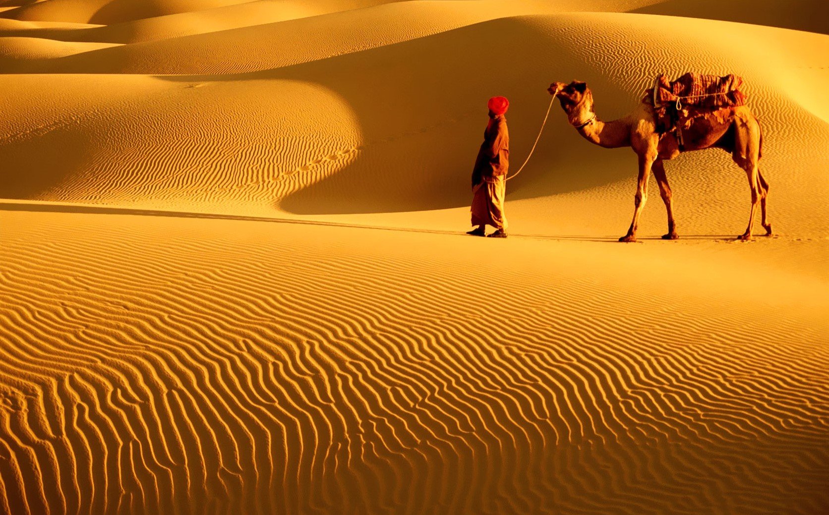 The Great Indian Desert - horseXperiences™ GO EQUESTRIAN