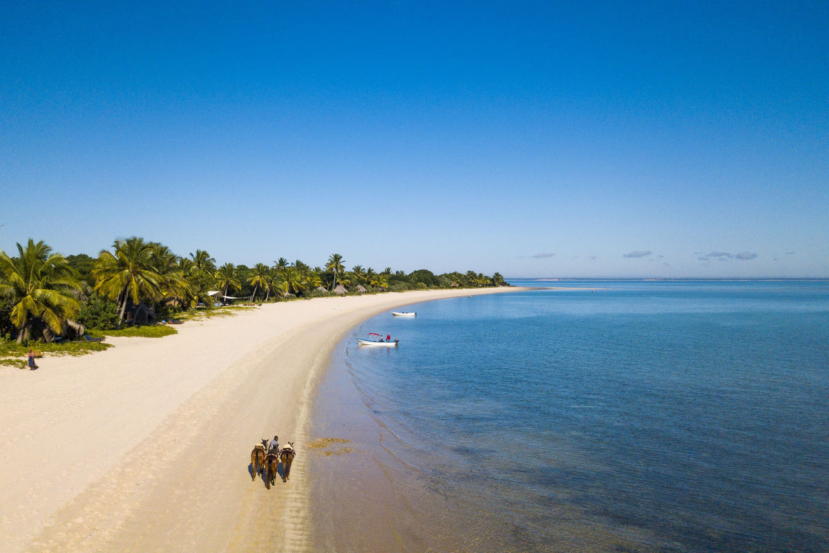 African Paradise - horseXperiences™ GO EQUESTRIAN