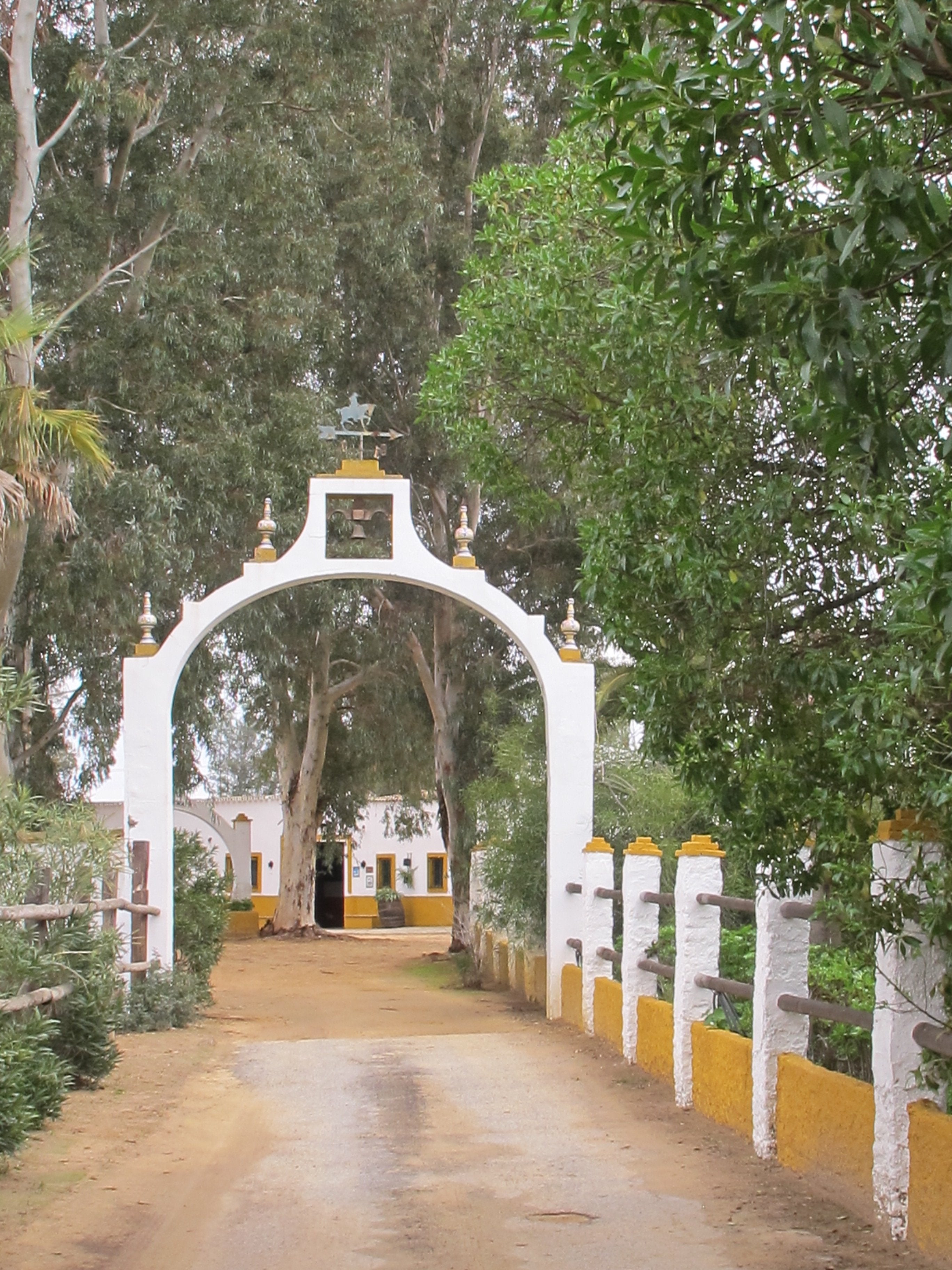 The Taste of Andalucia horse riding holiday in Spain