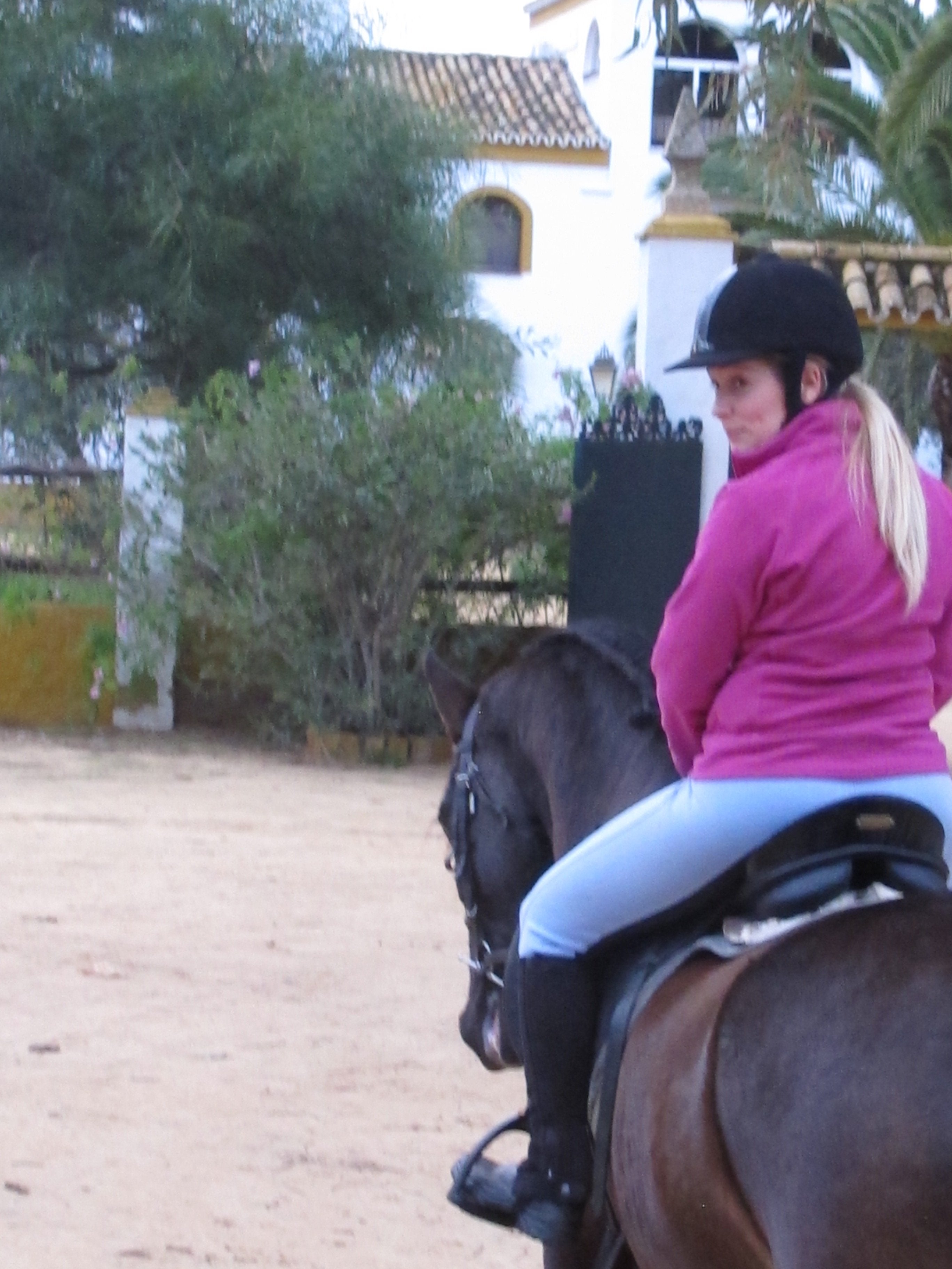 The Taste of Andalucia horse riding holiday in Spain