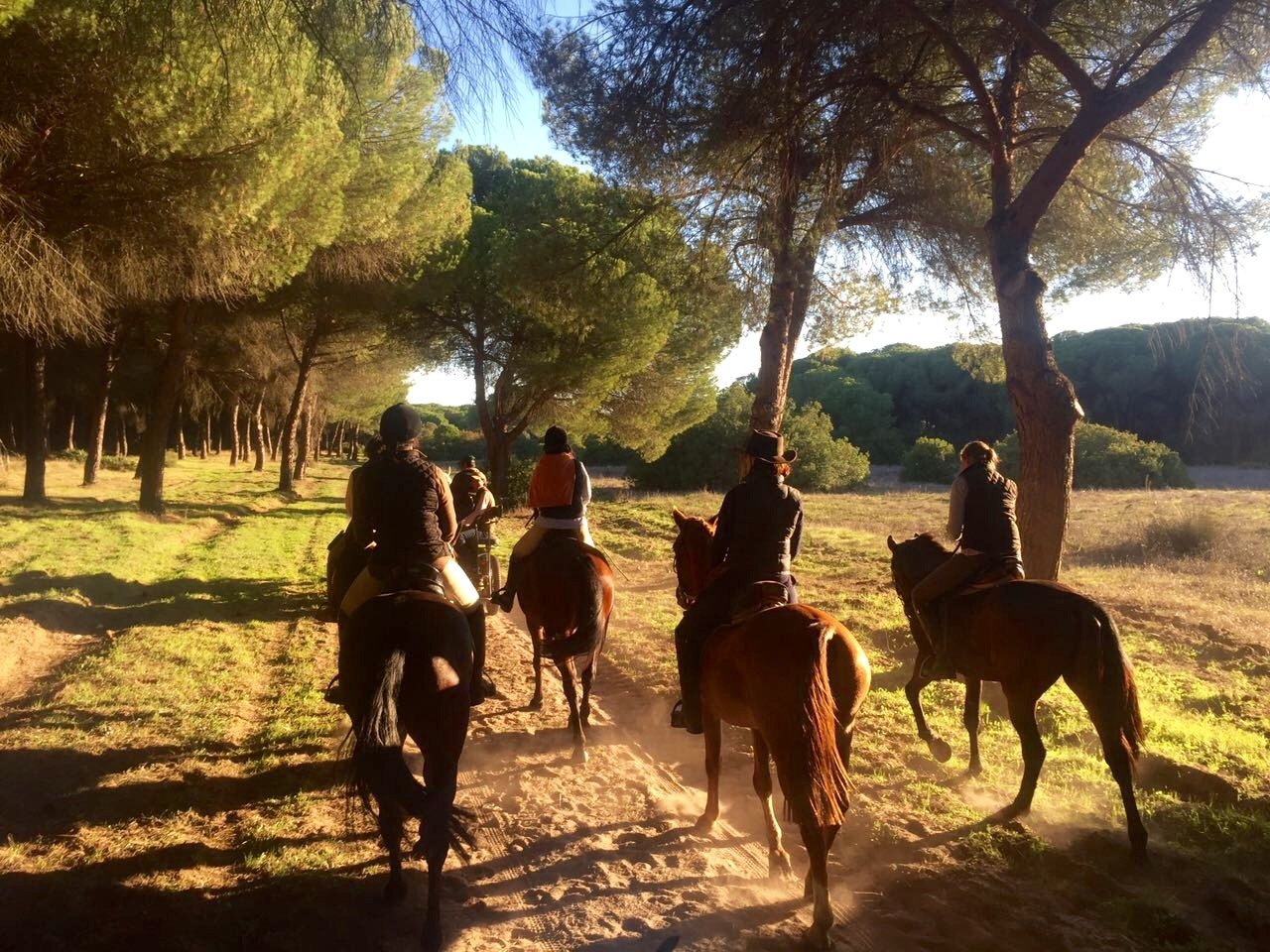 The Taste of Andalucia horse riding holiday in Spain